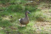 DSC04022.JPG